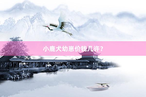 小鹿犬幼崽价钱几许？